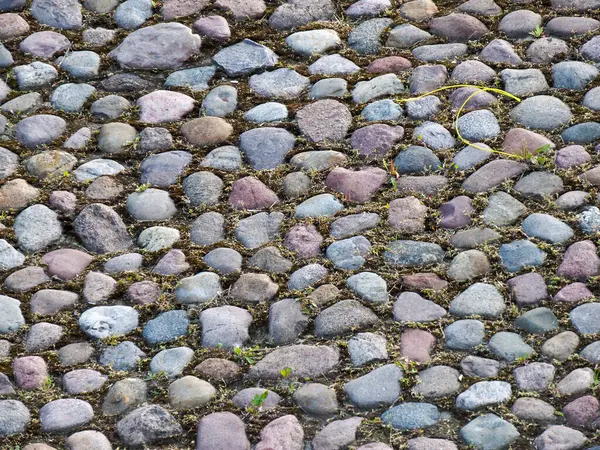 Antik kaldırım taşı sokak yüzeyinin detaylı görüntüsü doğal taşların yosun ve yosun ile kaplandığını gösteriyor.
