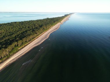 Uçsuz bucaksız ormanı berrak mavi sulardan ayıran gözlerden uzak kumlu sahil şeridi kuşbakışı.