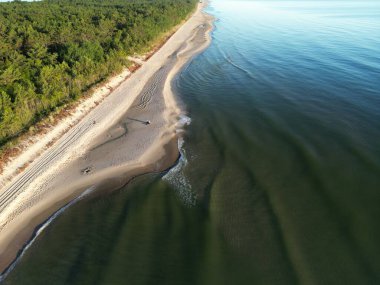 Bakir ormanın kristal berrak Baltık Denizi sularıyla buluştuğu eğri kıyı şeridinin çarpıcı görüntüsü.