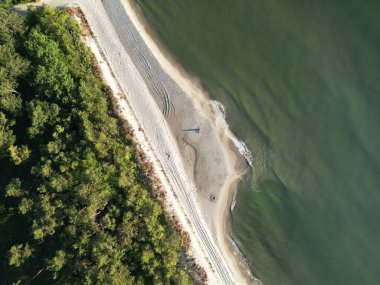 Baltık Denizi 'nin yanındaki yemyeşil ormandan geçen dolambaçlı kıyı yolunun dramatik hava perspektifi