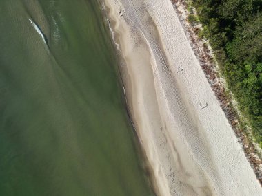 Zümrüt sularını ve kıyı bitkilerini kesen kumlu sahil yolunun büyüleyici hava manzarası