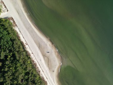 Zümrüt ormanının huzurlu kıyı şeridi boyunca kristal berrak sığ sularla buluştuğu el değmemiş kumlu sahil kıyısı görüntüsü.
