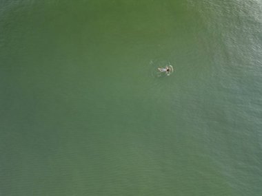 Ayna benzeri zümrüt göl yüzeyinde süzülen yalnız su kuşları yüksek açılı havadan çekimler yapar.