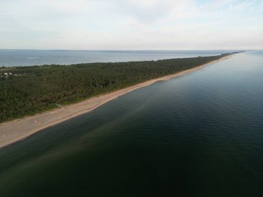 El değmemiş kumlu sahil perspektifi ile ormanlık kıyı şeridi boyunca derin mavi okyanus suları buluşuyor.