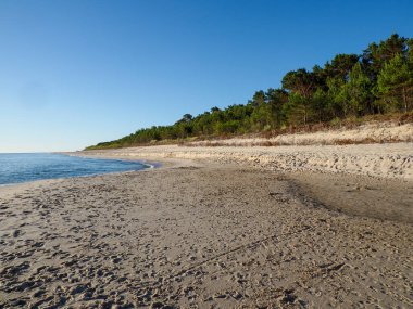 Baltık Denizi kıyısı boyunca uzanan el değmemiş beyaz kumsal.