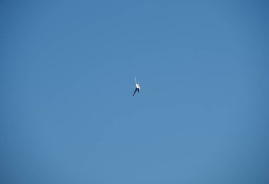 Uçsuz bucaksız gökyüzünde asılı duran tek bir kuş saf özgürlük ve huzur dolu yalnızlığı simgeliyor.