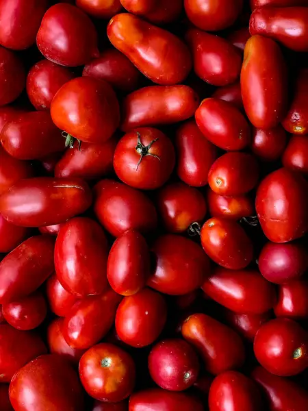 Taze yeşil saplı canlı kırmızı domatesler. Besin ve antioksidanlarla dolu doğal gıda zımbası. Çeşitli yemekler için mükemmel bir malzeme.