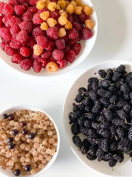 Ahududu, frenk üzümü ve böğürtlen dolu renkli üç kase, lezzetli ve besleyici bir yemek veya tarif yapmak için mükemmel çeşitli doğal yiyecekler sergiliyor.