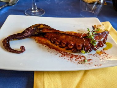 Galician octopus dish on a blue tablecloth. High quality photo