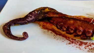 Galician octopus dish on a blue tablecloth. High quality 4k footage