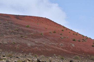 Lanzarote 'deki Caldera Colorada yanardağının yamacında. Kanarya Adaları