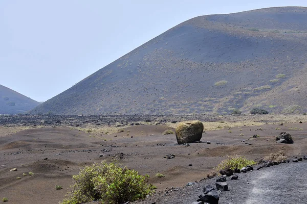 Lava Bommen Bij Weg Trekking Caldera Colorada Lanzarote Canarische Eilanden — Stockfoto