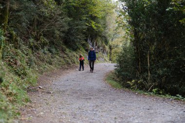 Sırt çantalı kadın yürüyüşçü ceketli çocukla yürürken aşağıya bakıyor ve gün ışığında yeşil ağaçlarla çevrili orman yolunda birbirleriyle konuşuyorlar.