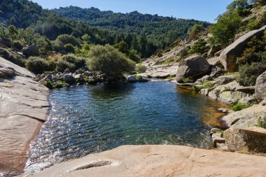 La Pedriza 'daki La Charca Verde, Manzanares El Real. Guadarrama Milli Parkı