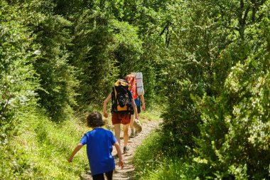 Kamp gezisinde sırt çantalı bir ailenin arka görüntüsü, ormanda bir patika boyunca yürüyor..