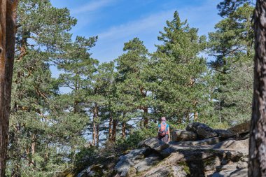 Guadarrama Ulusal Parkı 'ndaki Smith Patikası' nda, ormanda kayalar üzerinde yürüyen tanınmayan bir kadın..