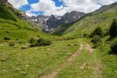 Çayır manzarası ve La Ripera vadisi dağı, Aragonese Pireneleri.