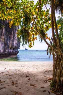 Tayland, Krabi 'deki Koh Hong' un hava görüntüsü.