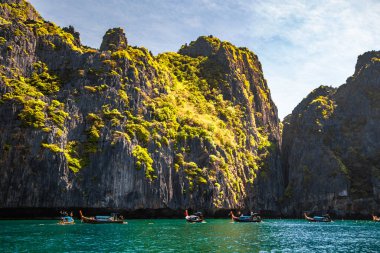 Maya Körfezi, Koh Phi Phi, Krabi, Tayland 'daki uzun kuyruk teknesinden. Yüksek kalite fotoğraf