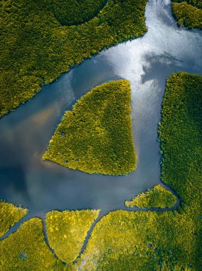 Khao Chom Pa Sea Mangrove 'da, Trang, Tayland' da kalp şeklinde bir ada. Yüksek kalite fotoğraf