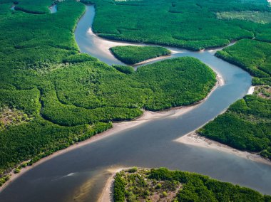 Khao Chom Pa Sea Mangrove 'da, Trang, Tayland' da kalp şeklinde bir ada. Yüksek kalite fotoğraf