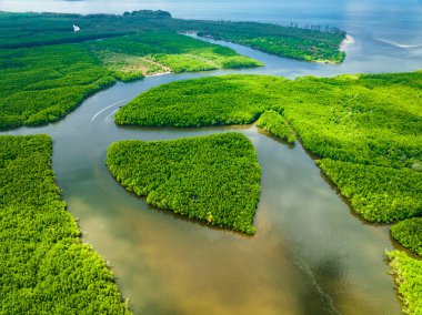 Khao Chom Pa Sea Mangrove 'da, Trang, Tayland' da kalp şeklinde bir ada. Yüksek kalite fotoğraf