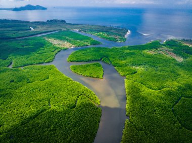 Khao Chom Pa Sea Mangrove 'da, Trang, Tayland' da kalp şeklinde bir ada. Yüksek kalite fotoğraf