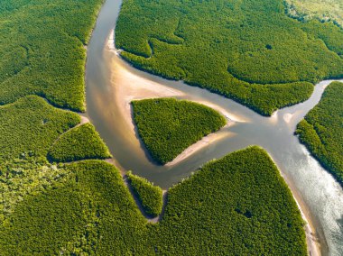 Khao Chom Pa Sea Mangrove 'da, Trang, Tayland' da kalp şeklinde bir ada. Yüksek kalite fotoğraf