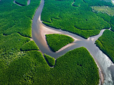 Khao Chom Pa Sea Mangrove 'da, Trang, Tayland' da kalp şeklinde bir ada. Yüksek kalite fotoğraf