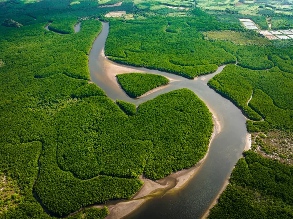 Ilha Forma Coração Ponto Vista Khao Chom Sea Mangrove Trang — Fotografia de Stock