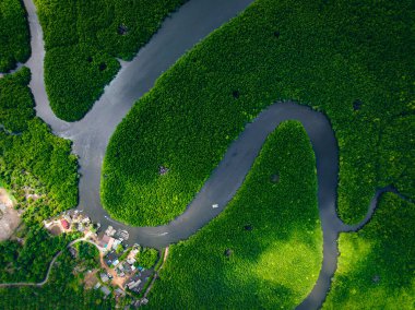 Khao Chom Pa Sea Mangrove 'da, Trang, Tayland' da kalp şeklinde bir ada. Yüksek kalite fotoğraf