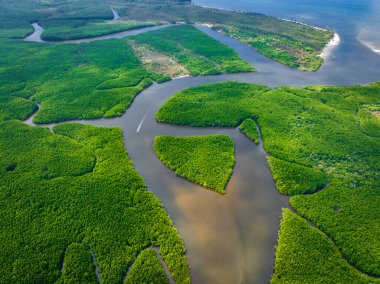 Khao Chom Pa Sea Mangrove 'da, Trang, Tayland' da kalp şeklinde bir ada. Yüksek kalite fotoğraf