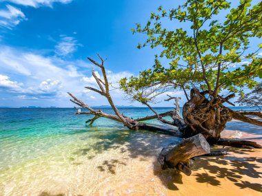 Trang, Tayland, Güney Asya 'daki Koh Kradan adasında sahil manzarası ve uzun kuyruk teknesi.