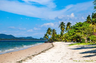 Koh Mook ya da koh Muk adasında uzun kuyruklu sahil manzaralı, Trang, Tayland, Güney Asya