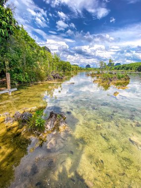 Tayland, Krabi 'deki Nong Thale kristal gölü. Yüksek kalite fotoğraf