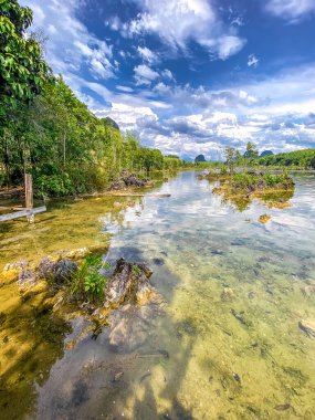Tayland, Krabi 'deki Nong Thale kristal gölü. Yüksek kalite fotoğraf