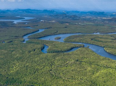 Satun Geopark, Tayland 'da Bo Chet Luk limanının uzun kuyruklu tekneleriyle hava görüntüsü. Yüksek kalite fotoğraf