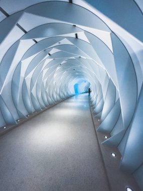 Dubai 'deki Geleceğin Müzesi, BAE. Yüksek kalite fotoğraf