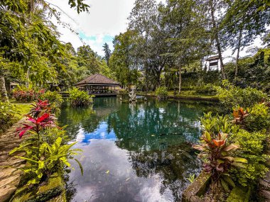 Ubud, Bali, Endonezya 'daki Pura Gunung Kawi Sebatu Gianya tapınağı. Yüksek kalite fotoğraf