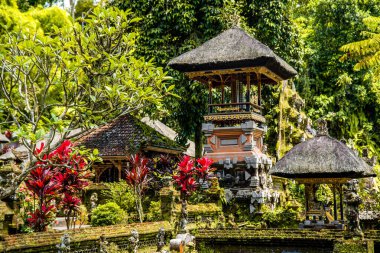 Ubud, Bali, Endonezya 'daki Pura Gunung Kawi Sebatu Gianya tapınağı. Yüksek kalite fotoğraf