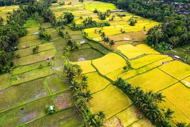 Ubud, Bali, Endonezya, Güney Doğu Asya 'daki yerleşim alanlarının hava görüntüsü
