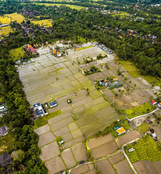 Ubud, Bali, Endonezya, Güney Doğu Asya 'daki yerleşim alanlarının hava görüntüsü