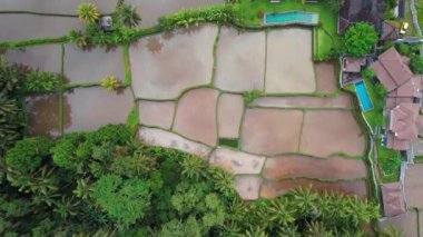 Ubud, Bali, Endonezya, Güney Doğu Asya 'daki yerleşim alanlarının hava görüntüsü