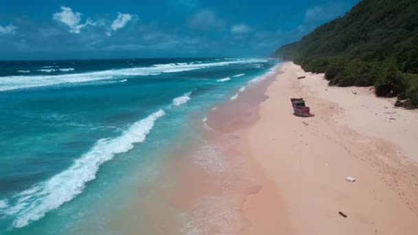 バリ島 インドネシア 東南アジアのヌンガランビーチの空中ビュー — ストック動画