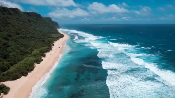 Endonezya Bali Deki Nunggalan Sahilinin Havadan Görünüşü Güney Doğu Asya — Stok video