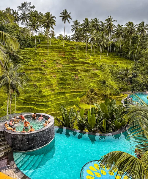 Cretya Ubud Bali Endonezya Dan Pirinç Terasları Havuz Manzarası Yüksek — Stok fotoğraf