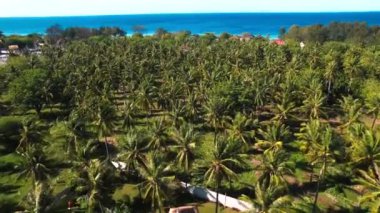 Gili Trawangan, Lombok, Endonezya, Güney Doğu Asya 'da bir balina konağı manzarası