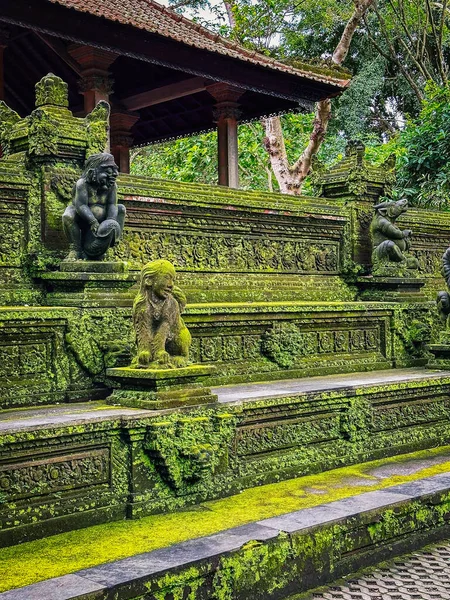 Monkey Forest Ubud Bali Indoneisa High Quality Photo — Stock Photo, Image