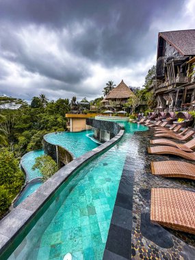 Ubud, Bali, Endonezya 'da orman havuzu ve pirinç terasları. Yüksek kalite fotoğraf