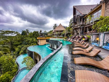 Ubud, Bali, Endonezya 'da orman havuzu ve pirinç terasları. Yüksek kalite fotoğraf